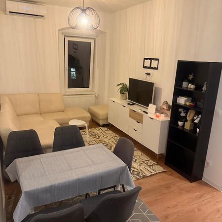 Newly Adapted 3-Room Apartment Postojna Εξωτερικό φωτογραφία